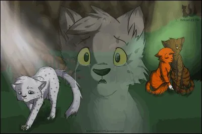 Comment s'intitule le livre 4 du cycle 2 ?