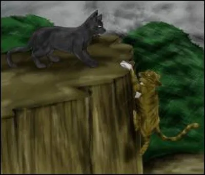 Comment s'intitule le livre 5 du cycle 2 ?