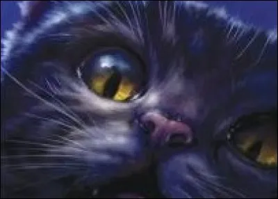 Quel chat est représenté ici ?