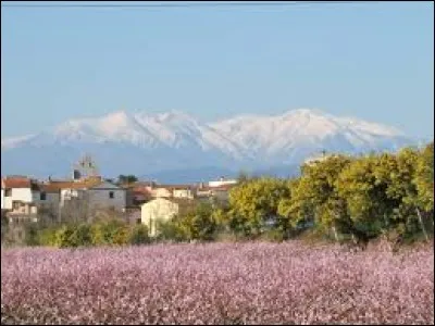 Ville d'Occitanie, Trouillas ne se situe pas ...
