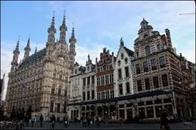 LOUVAIN - Une des particularités de cette ville flamande en fait la capitale d'un produit, lequel ?