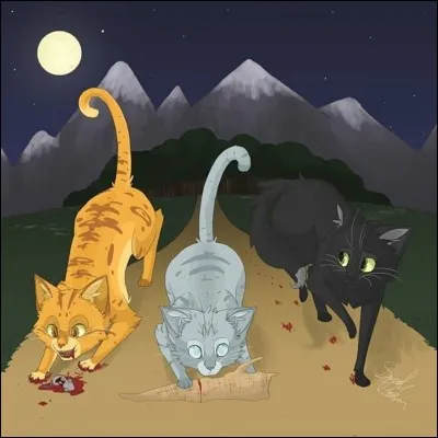 Comment s'intitule le livre 3 du cycle 3 ?