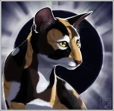 Comment s'intitule le livre 4 du cycle 3 ?