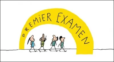 Quel examen passe-t-on en 3e ?