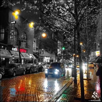 Dans quelle ville la rue du Hamra vous paraîtra-t-elle fascinante grâce à ses magasins, ses bars et cafés ?