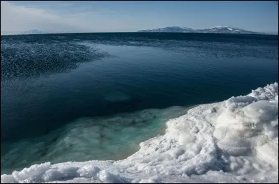 Laquelle de ces mers n'appartient pas à l'océan arctique ?
