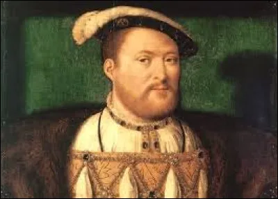 Henri VIII fut roi d'Angleterre et d'Irlande.
