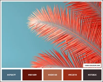 Quelle couleur te plaît le plus dans cette image ?