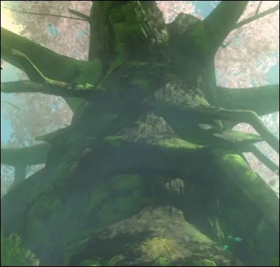 Comment se nomme cet arbre ?