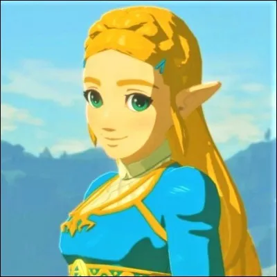 Où se trouve la princesse Zelda au cours de l'aventure ?