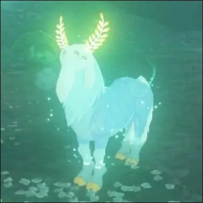 Qu'est-ce que l'Alpha ?