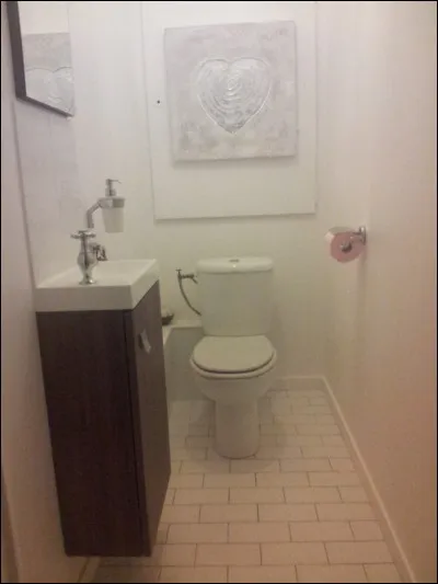 Les clients, les visiteurs et le personnel peuvent utiliser les toilettes en cas de besoin. Quelle est la couleur du WC ?