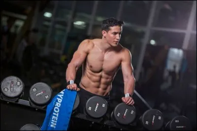 Tibo Inshape a combien d'animaux de compagnie ?