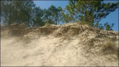 "Sous le sable" est un film interprété par Charlotte Rampling.