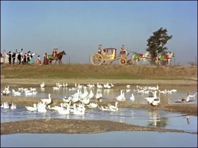 Quels animaux Sissi et Gisèle voient-elles depuis la diligence en route vers l'auberge où elles font une halte ?