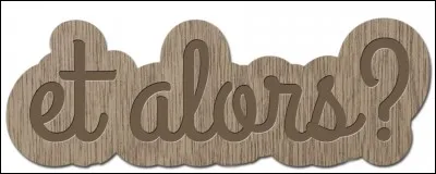 Et alors ? qu'est-ce que ça fait ? Si elle n'aime pas les protocoles, les idées fixes, les copier coller ?