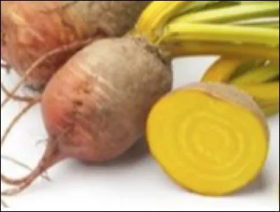 Quel est le nom de ce légume à chair jaune ?