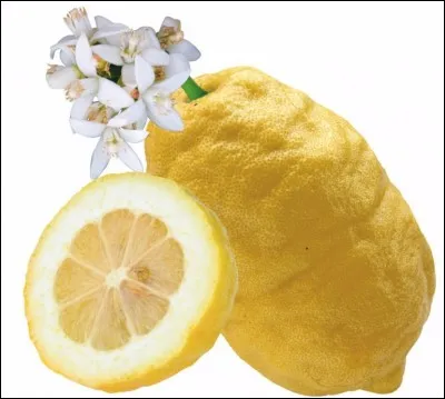 Quel est le nom de cet agrume jaune ?