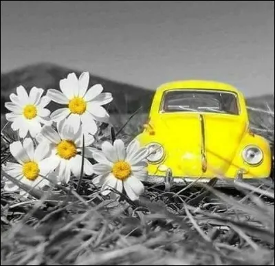 Qui est l'auteur des mots "L'été, les vieux cons sont à Deauville, les putes à Saint-Tropez, et les autres sont en voiture un peu partout" ?