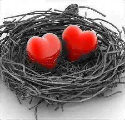 D'après le proverbe qu'est-ce qui vaut mieux qu'un grand "chez les autres" ?