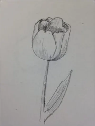 Quelle est celle-ci ?