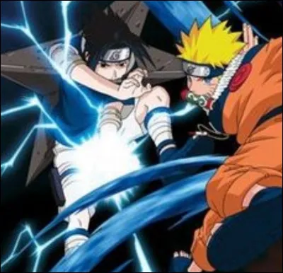 Pour Naruto, Sasuke est son...