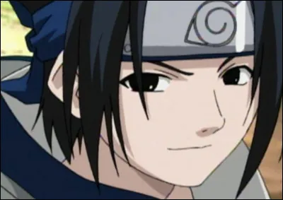 Sasuke se moque de Naruto et le surnomme...