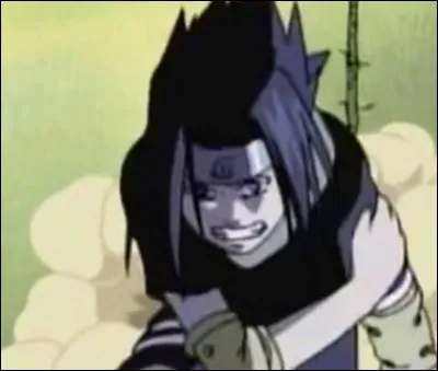 Quelle est sa technique principale ?