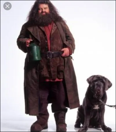 Comment s'appelle le chien de Hagrid ?