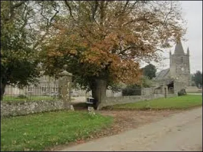 Village Manchot, Neuville-au-Plain se situe en région ...