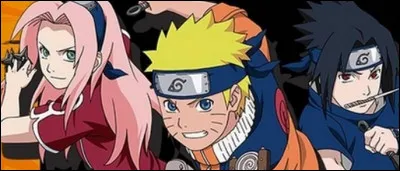 Au Pays des Vagues, quelle est sa mission ?