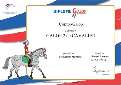 Il y a combien de niveaux "Galops" à passer ?