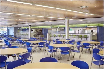 La cuisine et le réfectoire se trouvent dans ce lieu. Quelle est la couleur des chaises au premier plan ?