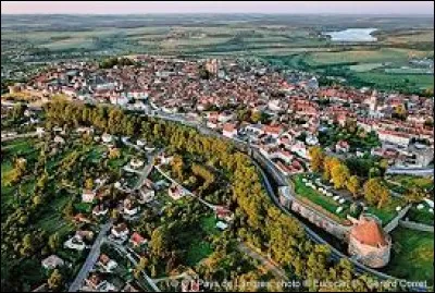 Comment appelle-t-on les habitants de Langres (Haute-Marne) ?