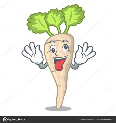 Qu'est-ce qui m'indique que le panais est prêt à être récolté ?