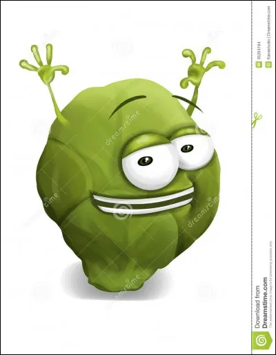 Quel est l'organe comestible du chou de Bruxelles ?