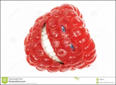 Quelle est la taille du plan mature du framboisier remontant ?