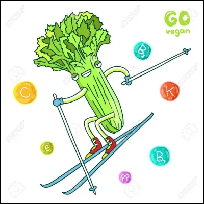 Quelle est la famille du céleri ?