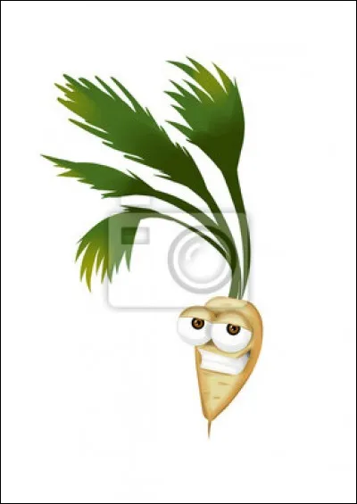 Quelle est la famille du panais ?