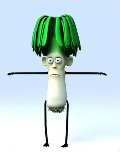 Quelle est la famille du poireau ?