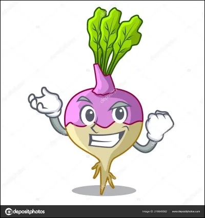 Quelle est la famille du rutabaga ?