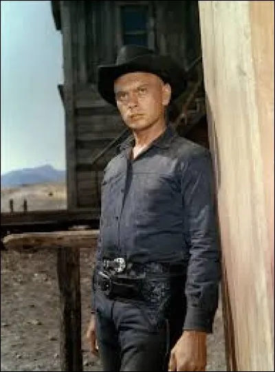 Dans un western de John Sturges sorti en 1960, sept mercenaires combattaient aux côtés de Yul Brynner.