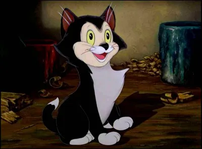 Comment s'appelle ce chat, présent dans "Pinocchio" ?