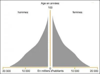 Cette pyramide des ges correspond-elle aux pays en dveloppement actuellement ?