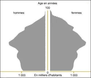 Cette pyramide des ges correspond-elle aux pays en dveloppement actuellement ?