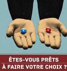 Quiz Animaux