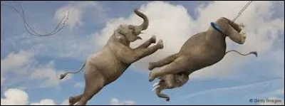 À quel statut du site Q.b. attribuez-vous cette illustration ?