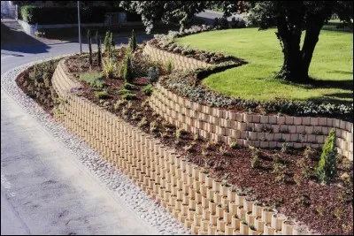 Il existe un "titre" attribué à des membres assidus, mais ne possédant pas de statut car ces derniers ne créent pas et ne corrigent pas, mais jouent énormément et ainsi participent à l'avancée du site.