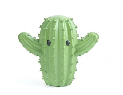 À qui devons-nous la chanson "Les cactus" ?