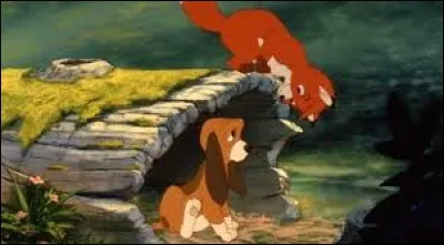 Dans "Rox et Rouky" qui est le renard ?